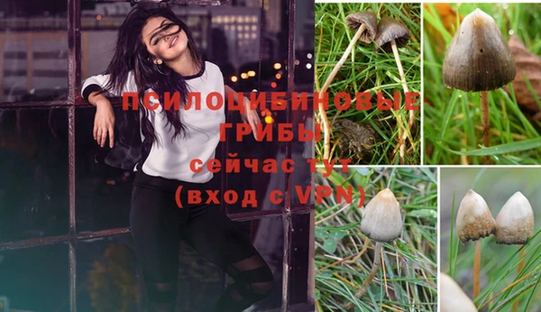 метамфетамин Богданович
