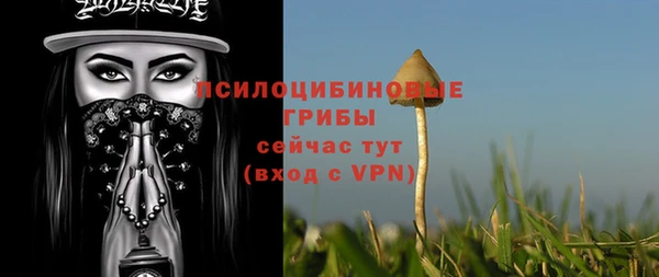 метамфетамин Богданович