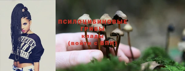 меф Богородск