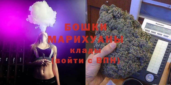 индика Покровск